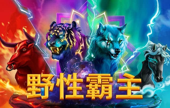 艾尚体育官网app下载